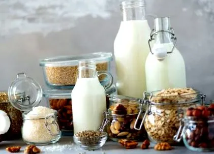 alimente vegane