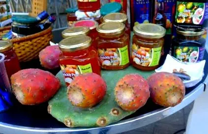 vegán