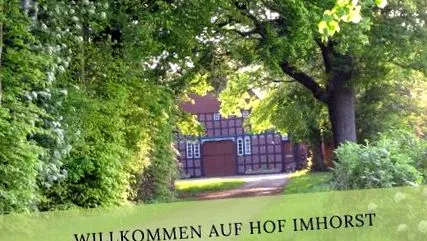 közösségi