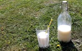 liter házi