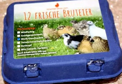 ouăle
