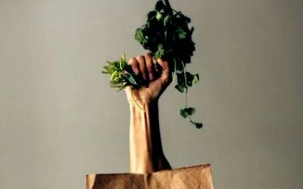 alimentelor