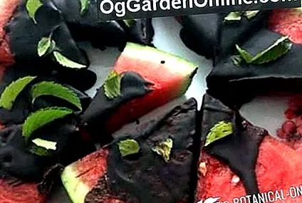 görögdinnye