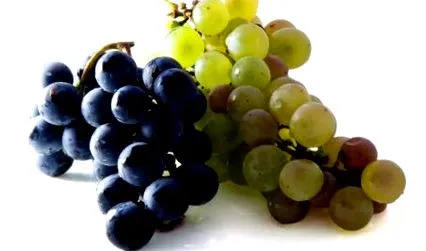 calorii