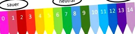 pentru pentru