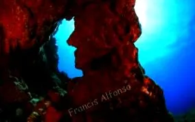 arias