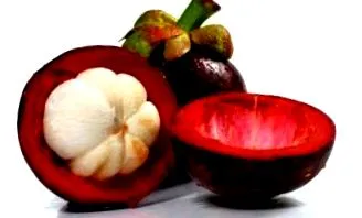 mangosztán