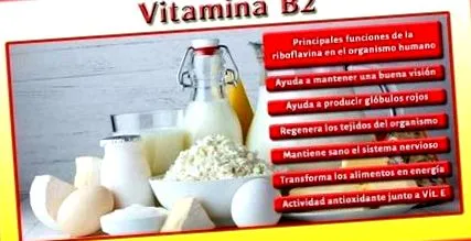 riboflavin