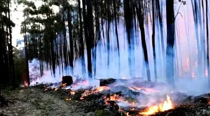 ellentmondásos