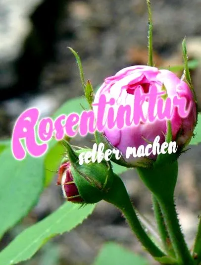készítsünk hogyan