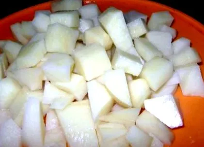 pollack