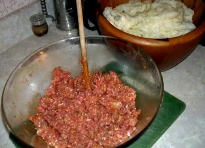 полнета