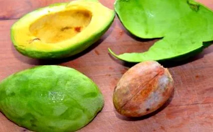 avocado
