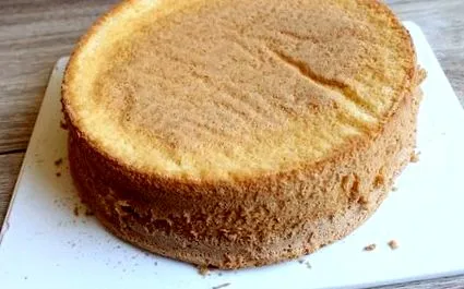 пони