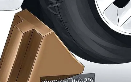 vymeniť predného