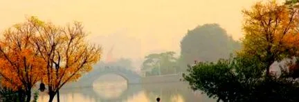програма