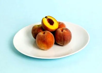 kalória gramm