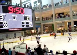 2009