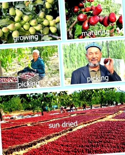 xinjiang special