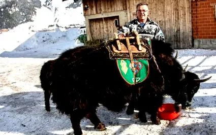 јакс алтернатива