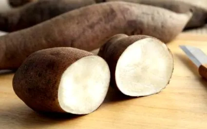 tuberculul