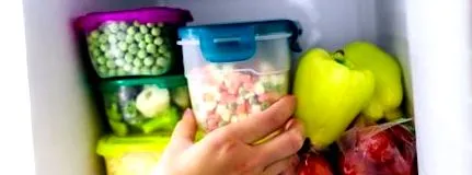 tippek
