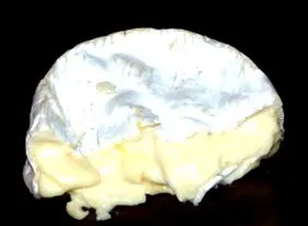 camembert