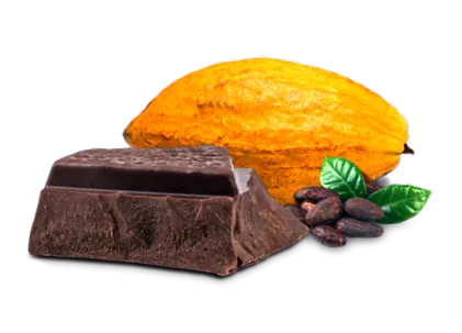 étcsokoládé