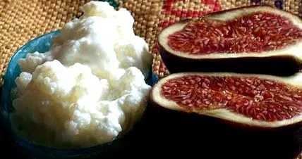 casă dietei