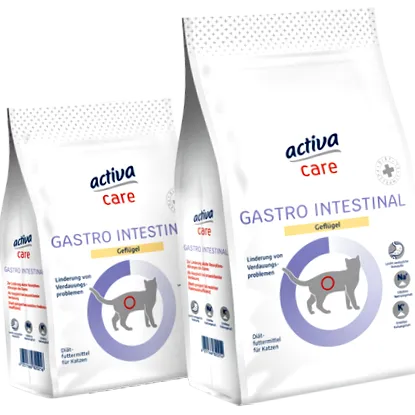 gastro