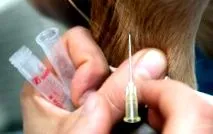 contagiosa
