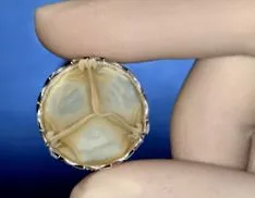 прес