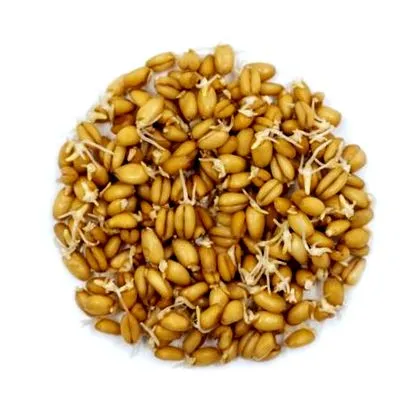 muesli