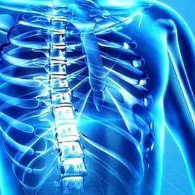 Herniated Disc