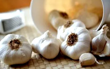 calorii