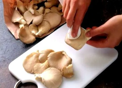 ciuperci