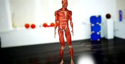 distorsiunea