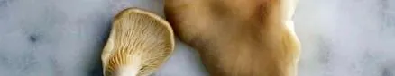 istenekhez tippek