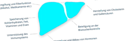 alkoholmentes zsírmáj