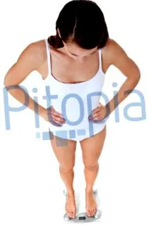 pitopia