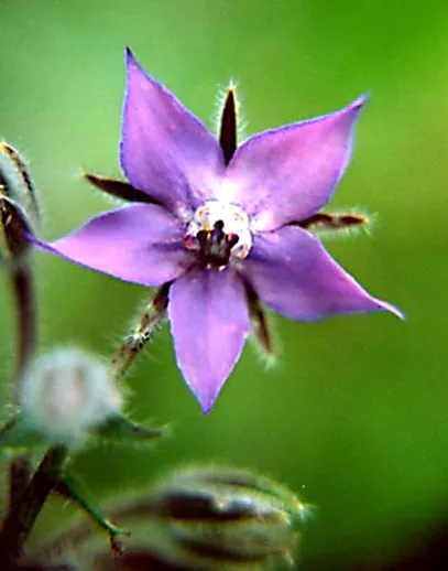 receptek érdemes