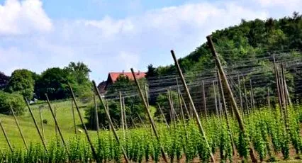 összetevői