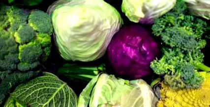 broccoli varza