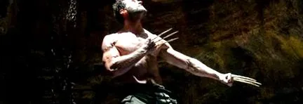 wolverine