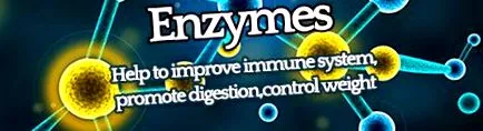 lipase