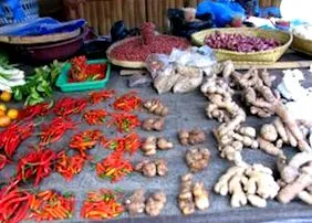 taiji nutriție