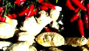 dieta