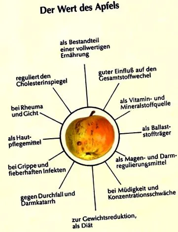bund