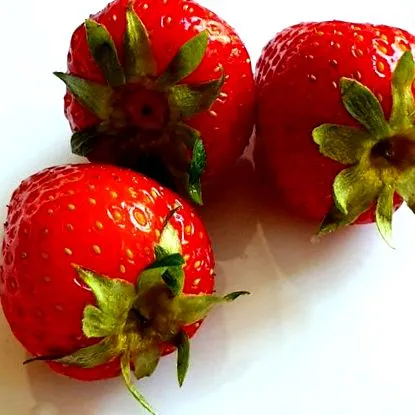 nutriția energetică