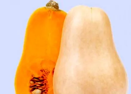 squash
